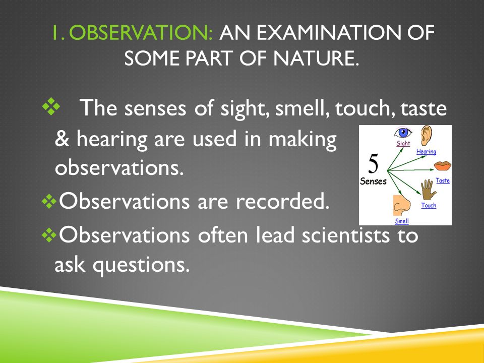 1. OBSERVATION: AN EXAMINATION OF SOME PART OF NATURE.
