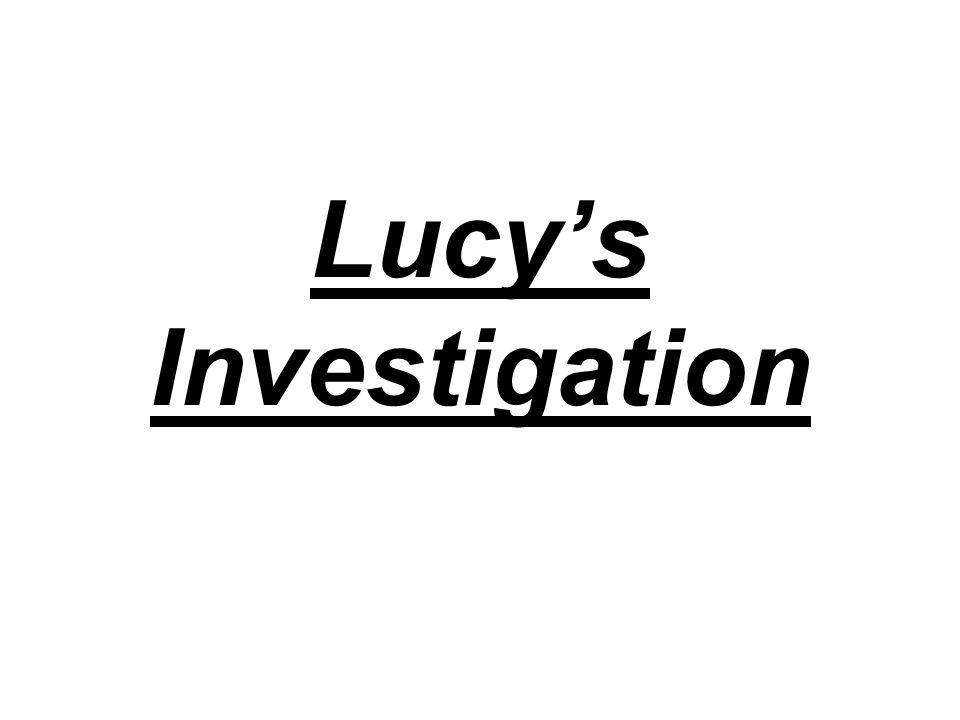 lucys investigation is a the most common letter used in the most used letter in english