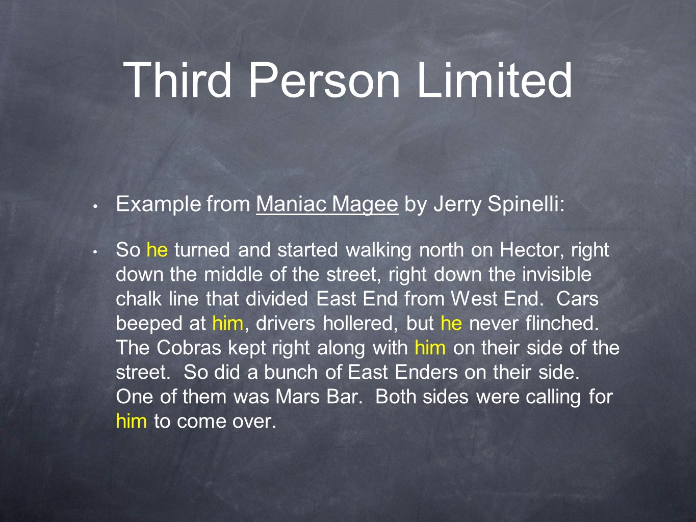 3Rd Person Essay Example