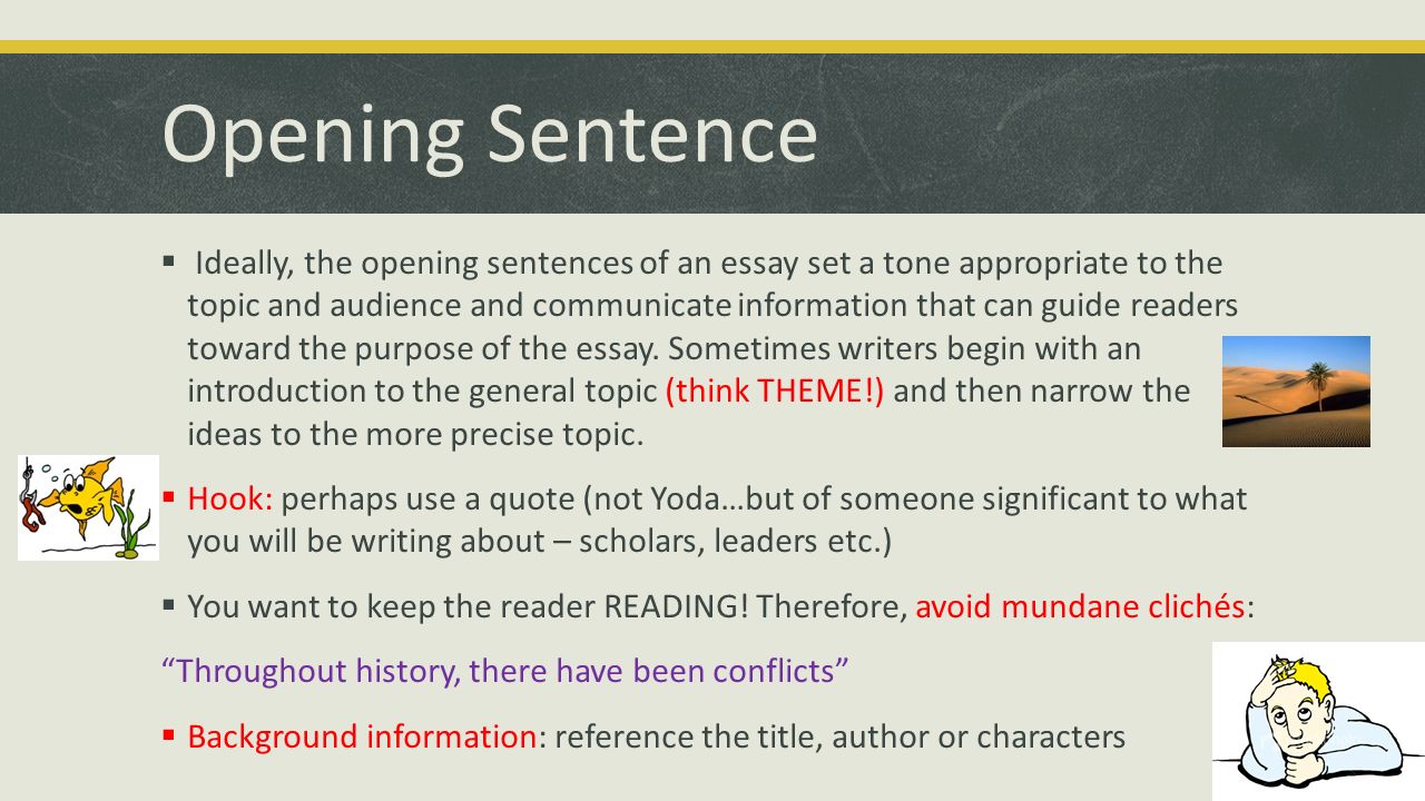 opening sentence for essay