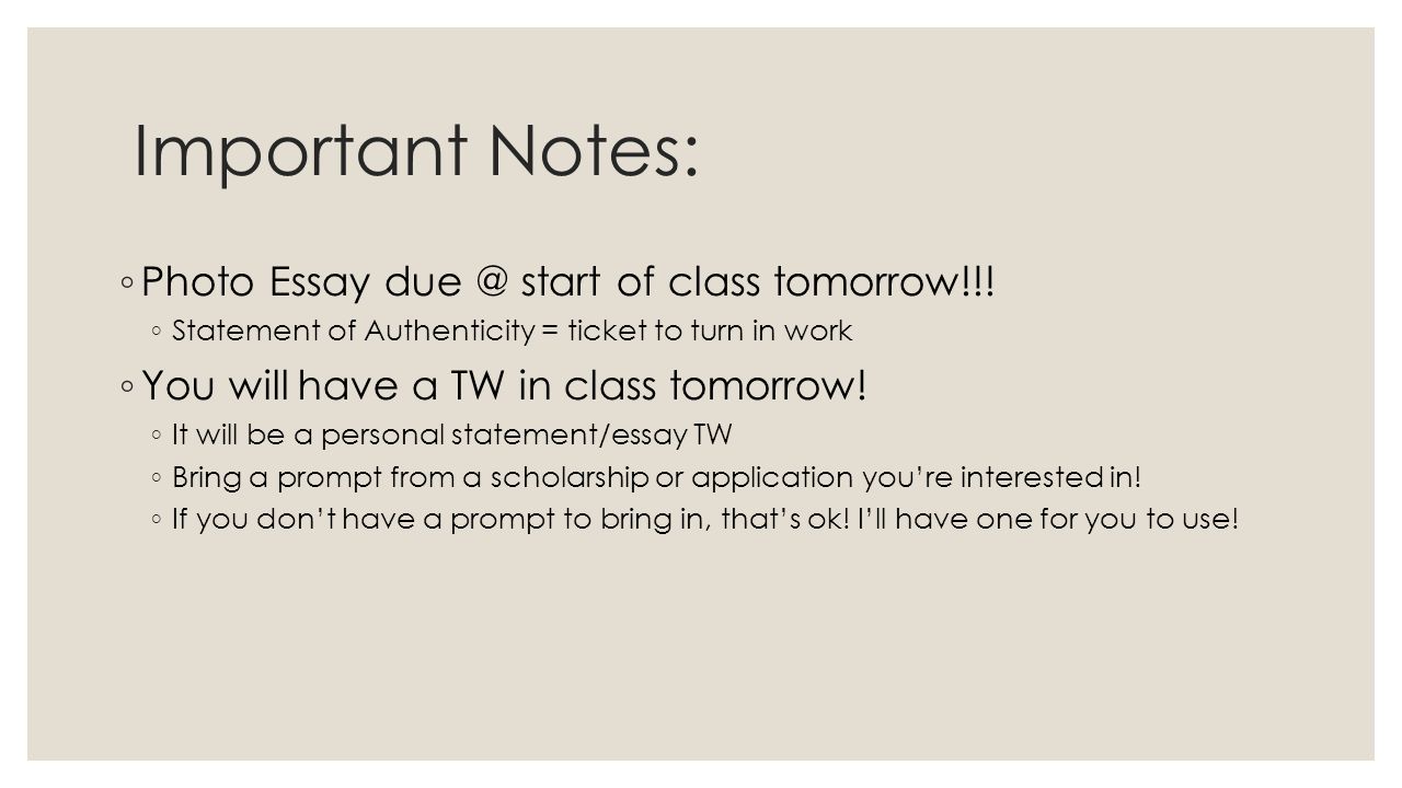 senior essay examples