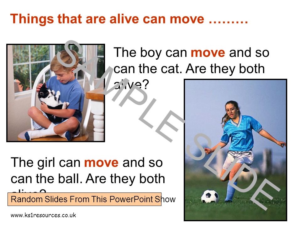 Things that are alive can move ……… The boy can move and so can the cat.