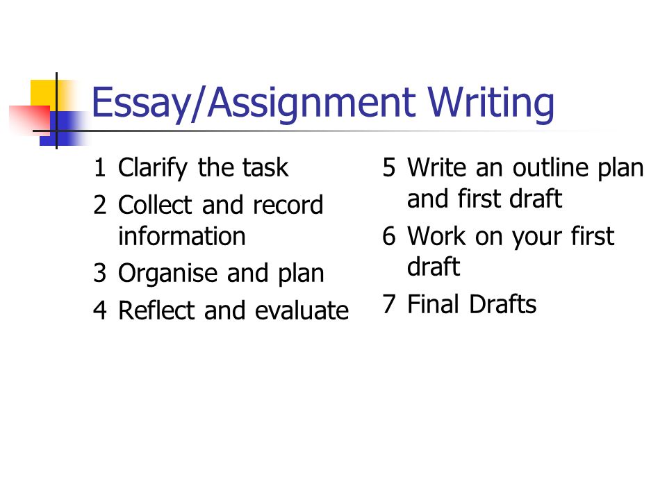 What is your learning style essay