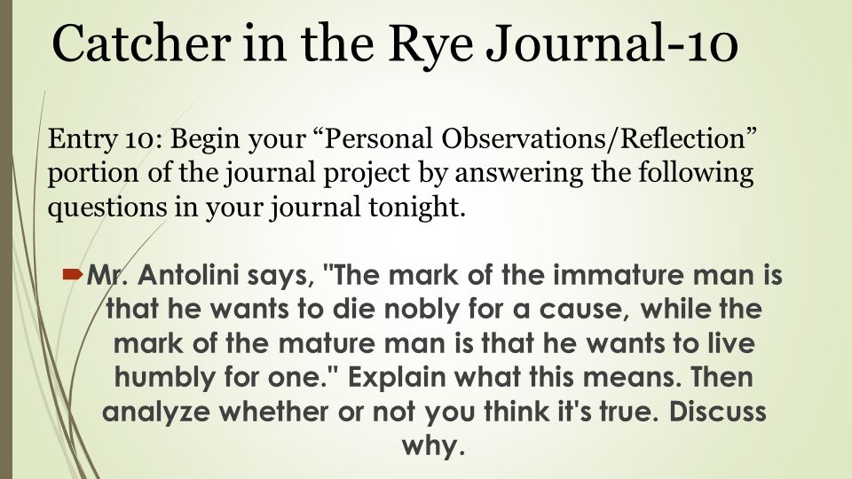 questions and answers the catcher in the rye essay questions and answers the catcher in the rye essay