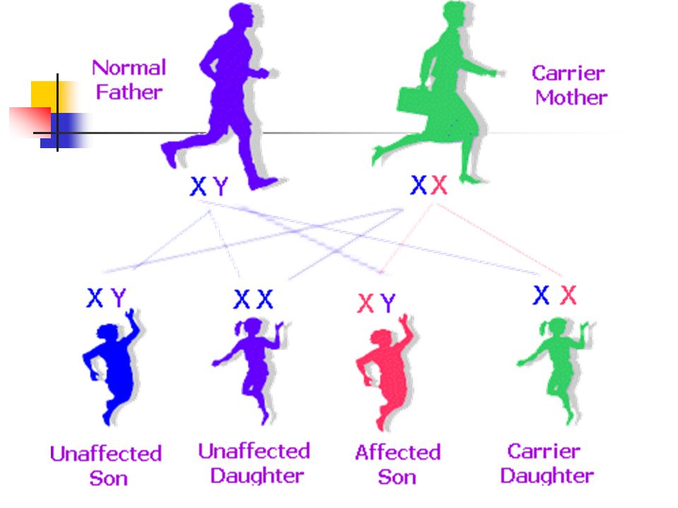 Gene mutations in the sex chromosomes