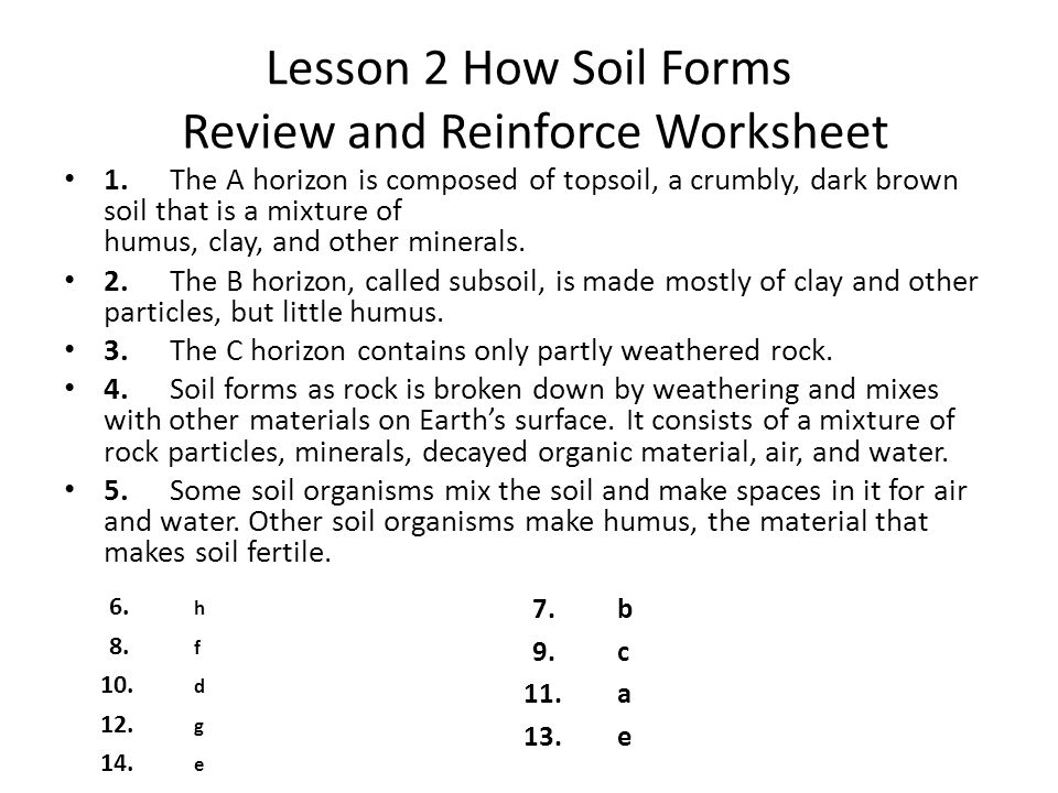Printables Soil Conservation Worksheet earths surface chapter 2 weathering and soil 1 review lesson how forms reinforce worksheet the a horizon is composed