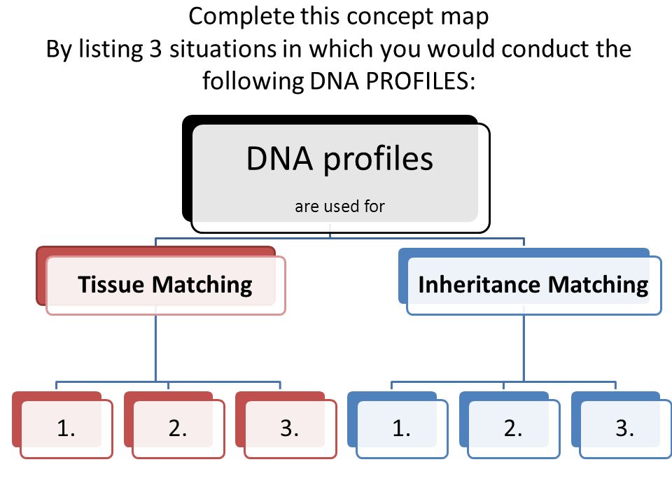 Complete this concept map By listing 3 situations in which you would conduct the following DNA PROFILES: DNA profiles are used for Tissue Matching1.2.3.Inheritance Matching1.2.3.