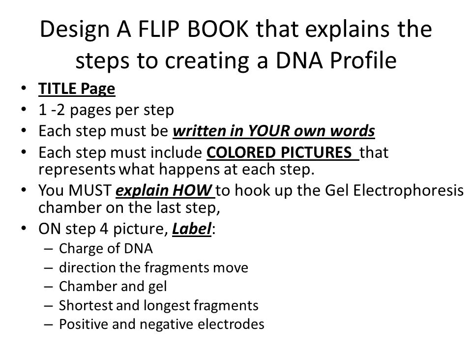 Design A FLIP BOOK that explains the steps to creating a DNA Profile TITLE Page 1 -2 pages per step Each step must be written in YOUR own words Each step must include COLORED PICTURES that represents what happens at each step.