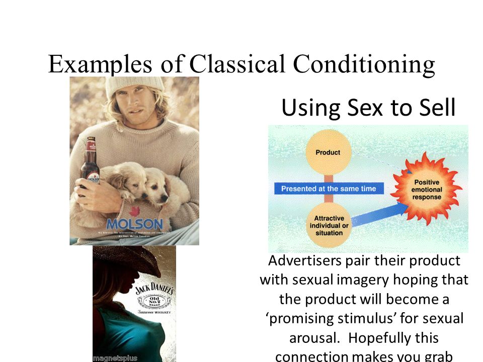 phobia psychology essay phobia psychology essay