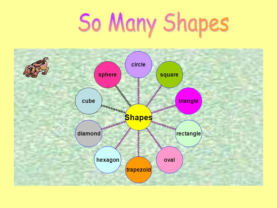 There are many different shapes. We see shapes all around us.