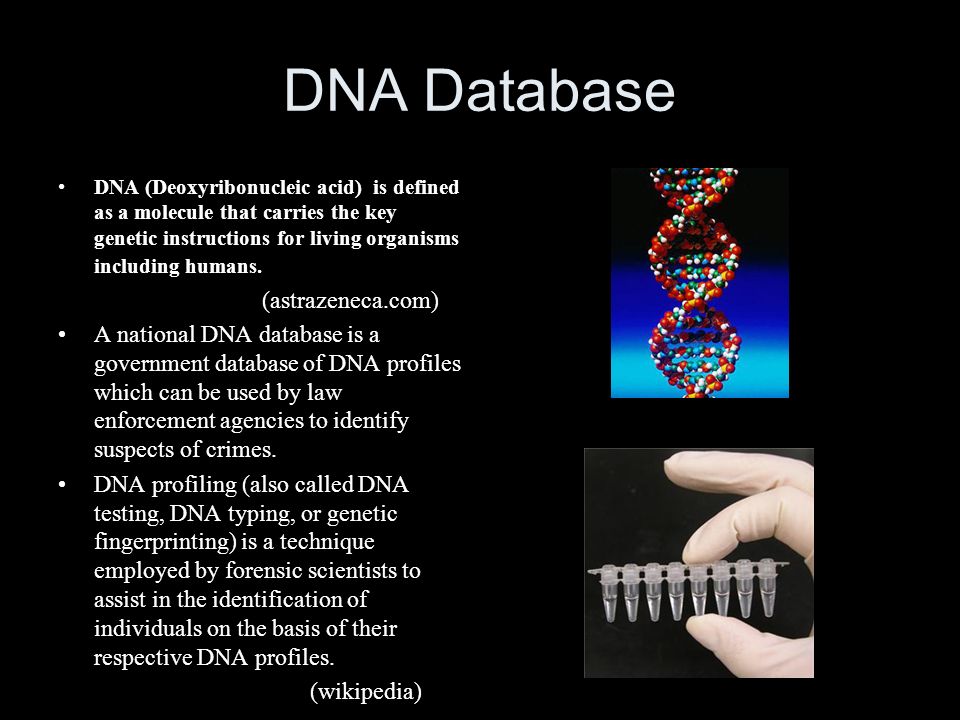 dna testing in crime scenes essay Dna databases codis state and even private agencies at various crime scenes dna can also be used to resolve disputes of paternity dna testing essay. dna testing in crime scenes essay Dna databases codis state and even private agencies at various crime scenes dna can also be used to resolve disputes of paternity dna testing essay.