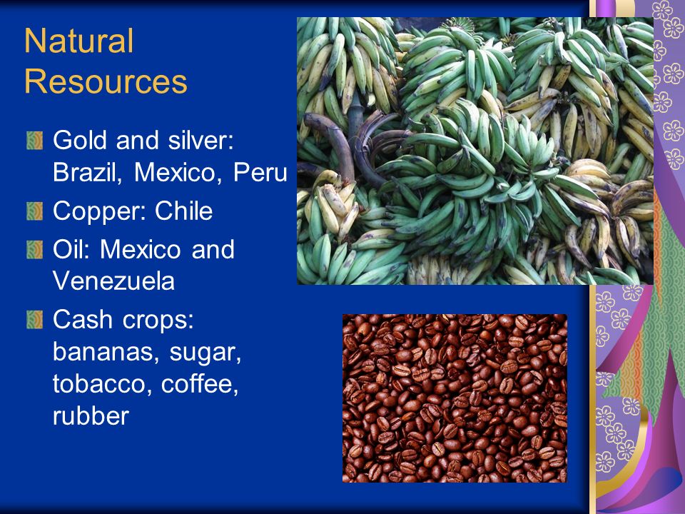 mexico natural resources