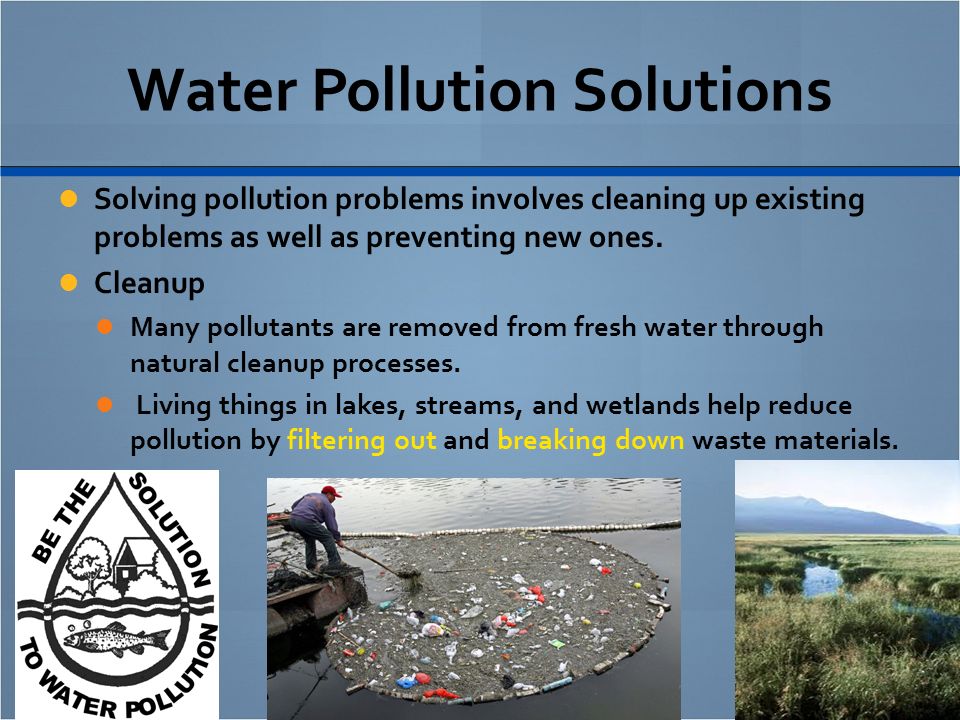 pollution and candidate This federally threatened species lives in a mosaic of open spring-fed wetlands and marine pollution and is a candidate for protection under the endangered. pollution and candidate This federally threatened species lives in a mosaic of open spring-fed wetlands and marine pollution and is a candidate for protection under the endangered.