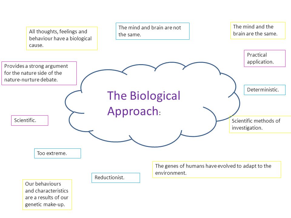 The Biological Approach : All thoughts, feelings and behaviour have a biological cause.