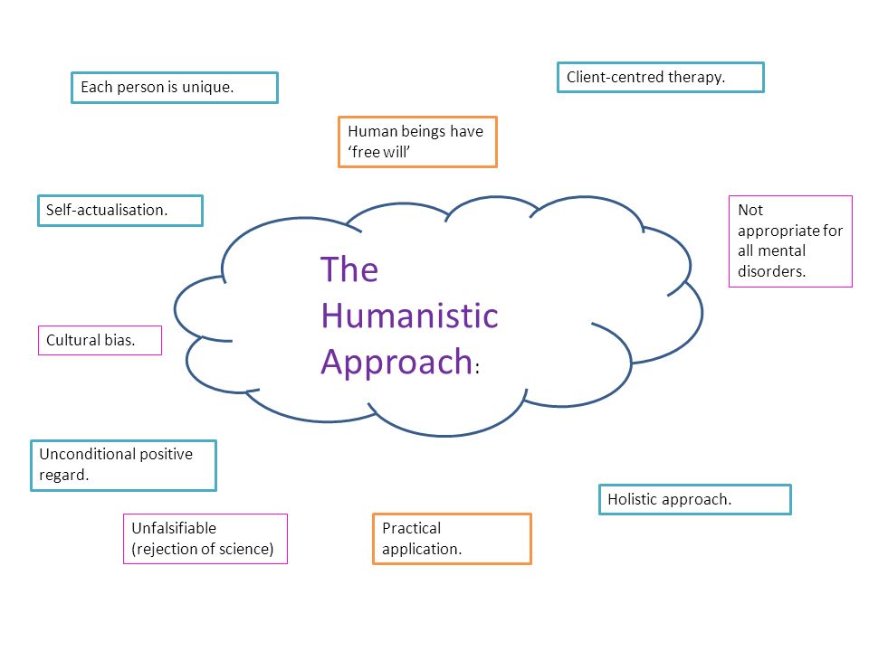 The Humanistic Approach : Each person is unique. Self-actualisation.