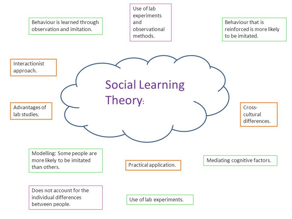 Social Learning Theory : Behaviour is learned through observation and imitation.