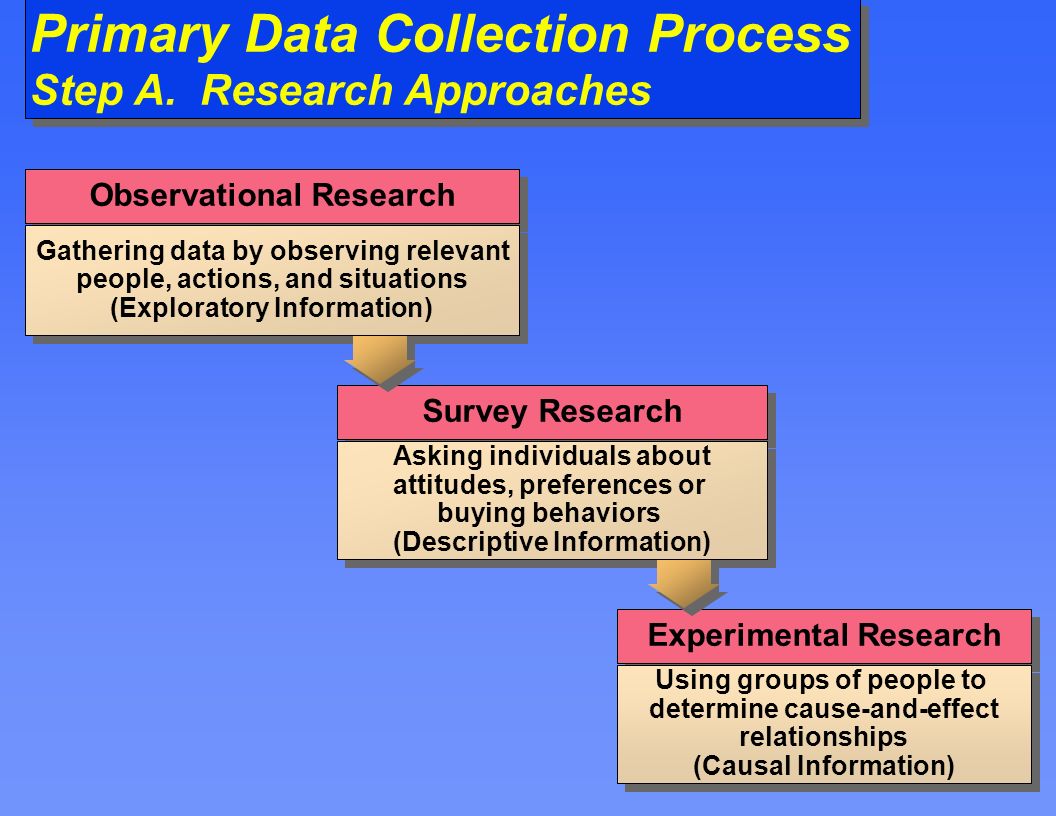 primary data essay primary data essay