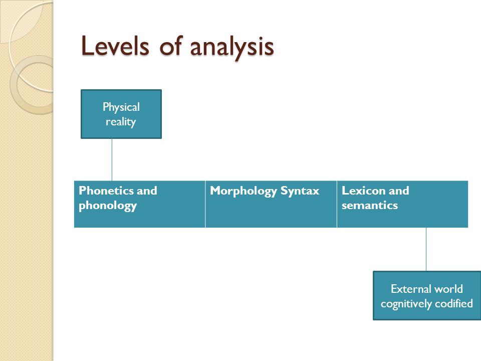 syntax and morphological analysis of the syntax and morphological analysis of the