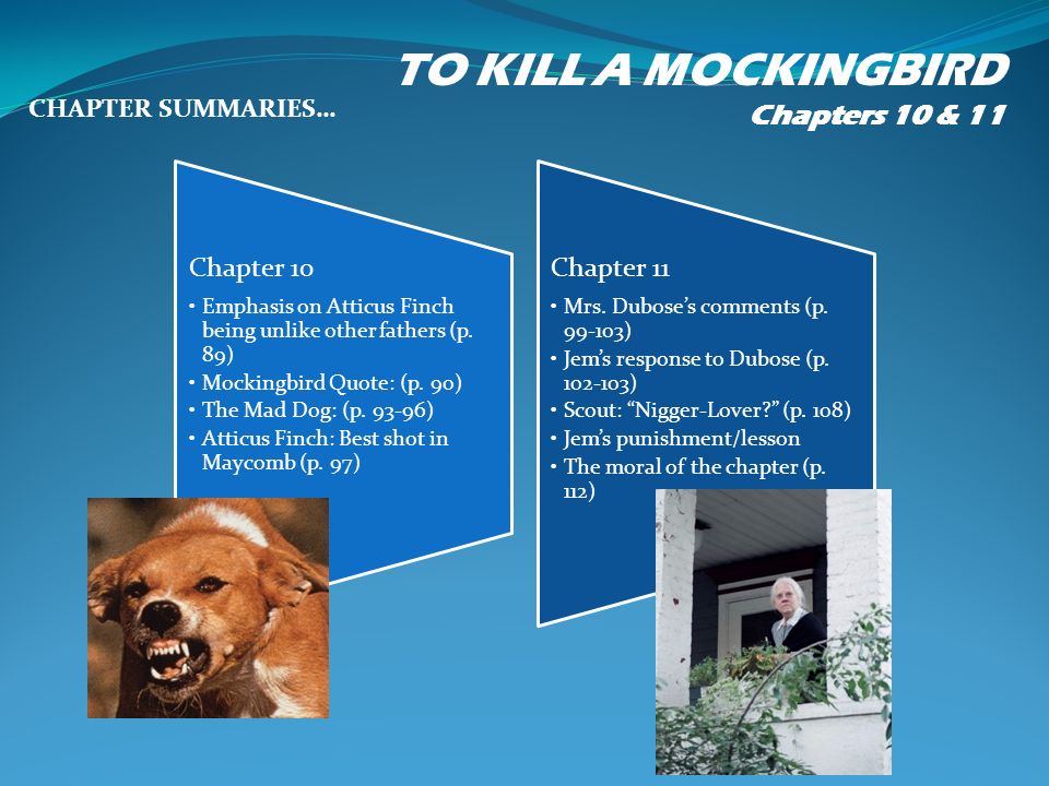 Personal Statements Career Services Atticus Finch Essay Good A Good Le For An Essay About Atticus Finch