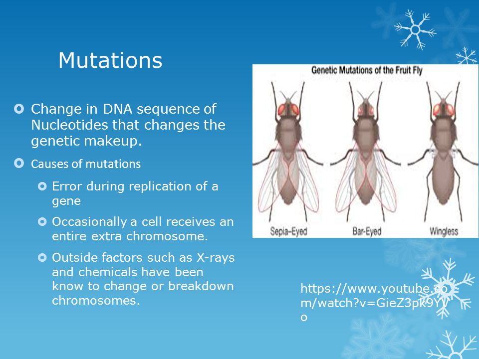 Mutations  Change in DNA sequence of Nucleotides that changes the genetic makeup.