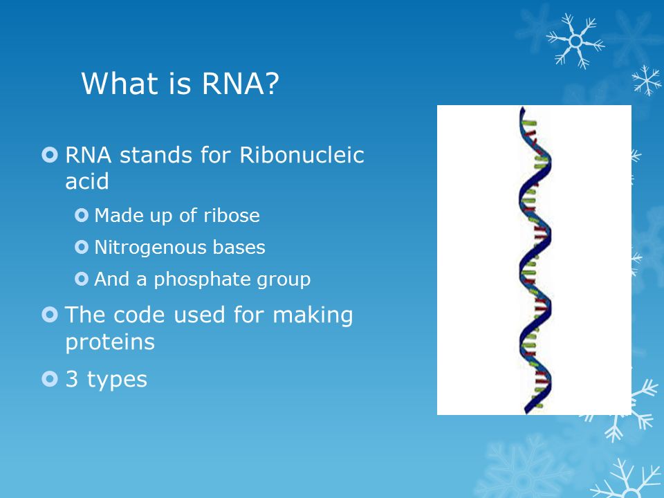 What is RNA.