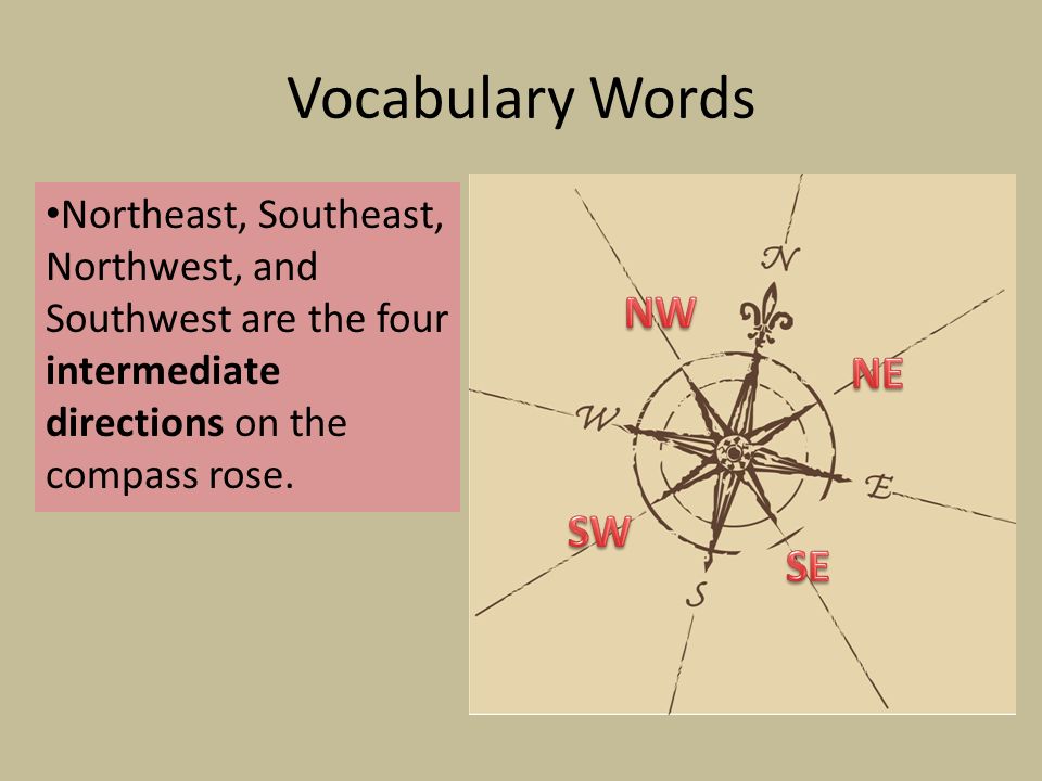 Vocabulary Words Northeast, Southeast, Northwest, and Southwest are the four intermediate directions on the compass rose.