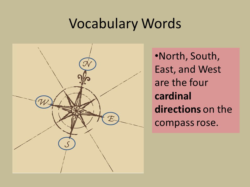 Vocabulary Words North, South, East, and West are the four cardinal directions on the compass rose.