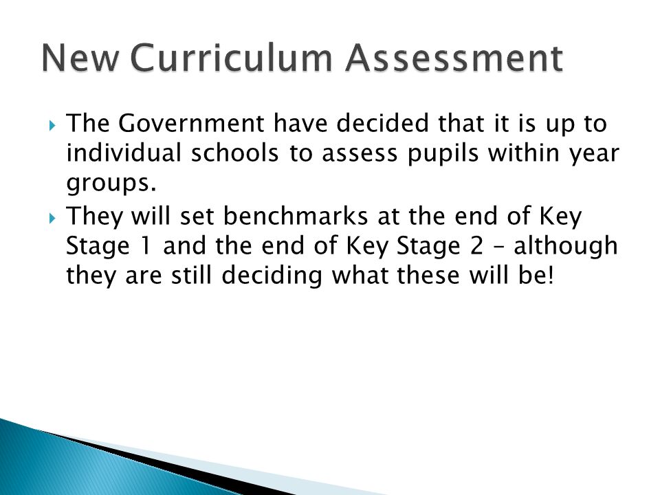 The Government have decided that it is up to individual schools to assess pupils within year groups.