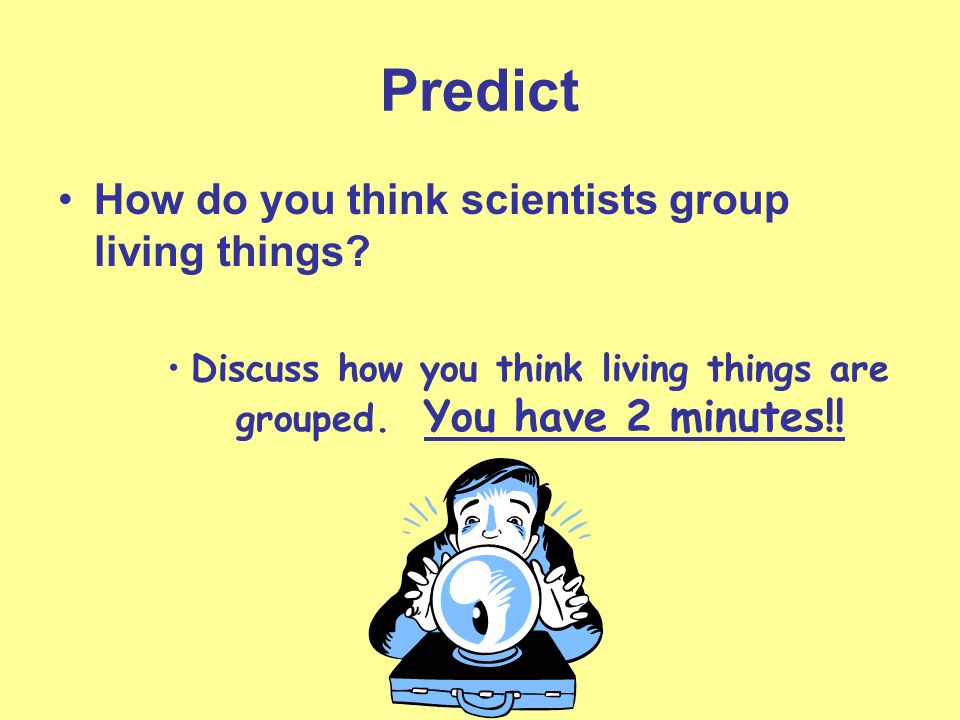 Predict How do you think scientists group living things.