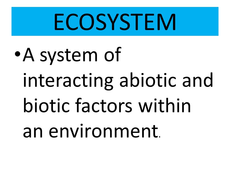 ECOSYSTEM A system of interacting abiotic and biotic factors within an environment.