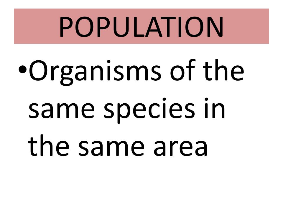 POPULATION Organisms of the same species in the same area