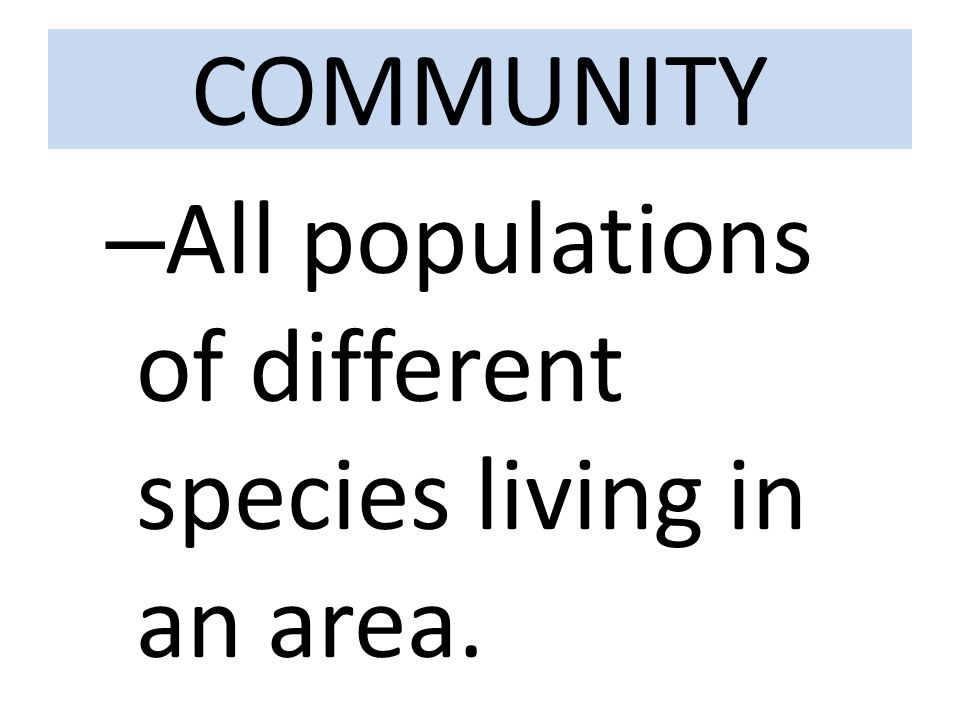 COMMUNITY – All populations of different species living in an area.