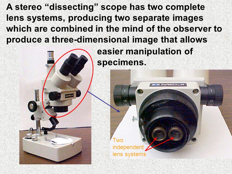 What is a dissecting scope?