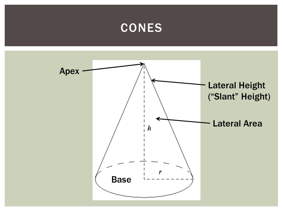 CONES Base Lateral Area Lateral Height ( Slant Height) Apex
