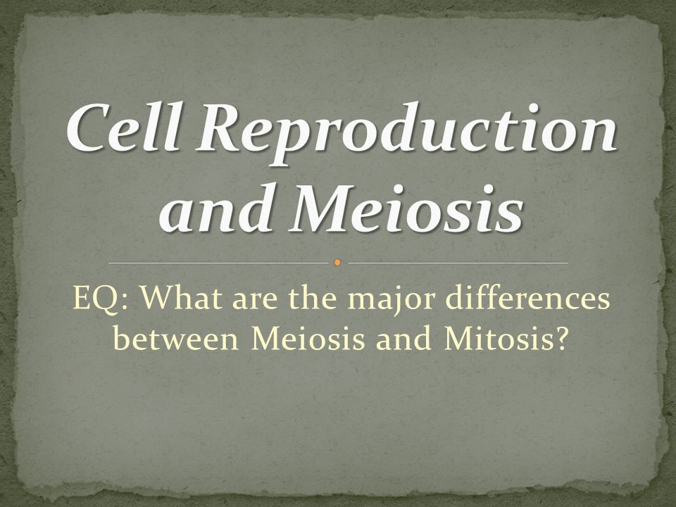 EQ: What are the major differences between Meiosis and Mitosis