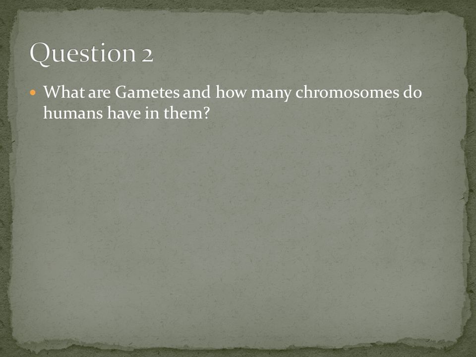 What are Gametes and how many chromosomes do humans have in them