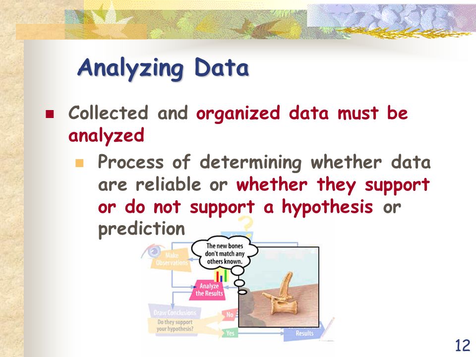 12 Analyzing Data Collected and organized data must be analyzed Process of determining whether data are reliable or whether they support or do not support a hypothesis or prediction