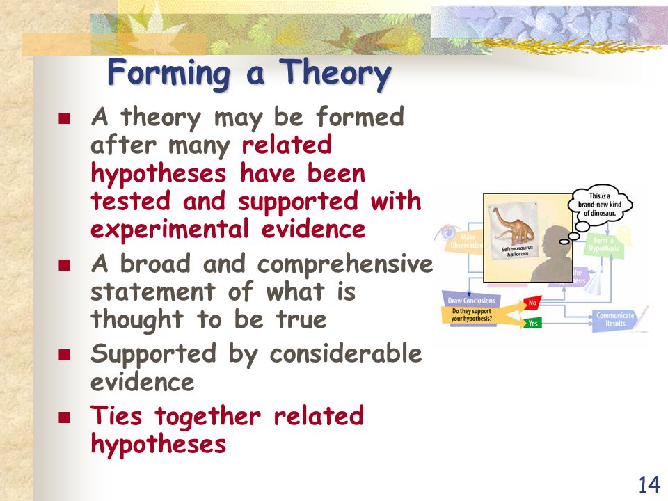 14 Forming a Theory A theory may be formed after many related hypotheses have been tested and supported with experimental evidence A broad and comprehensive statement of what is thought to be true Supported by considerable evidence Ties together related hypotheses