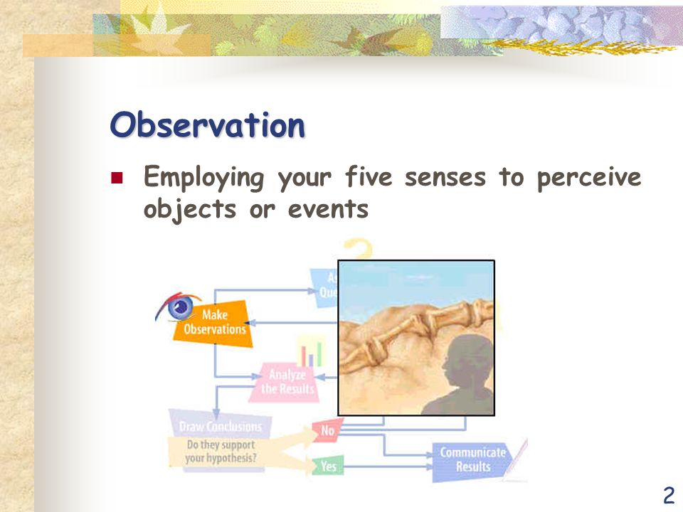 2 Observation Employing your five senses to perceive objects or events