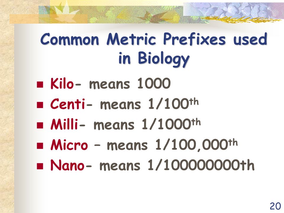 20 Common Metric Prefixes used in Biology Kilo- means 1000 Centi- means 1/100 th Milli- means 1/1000 th Micro – means 1/100,000 th Nano- means 1/ th
