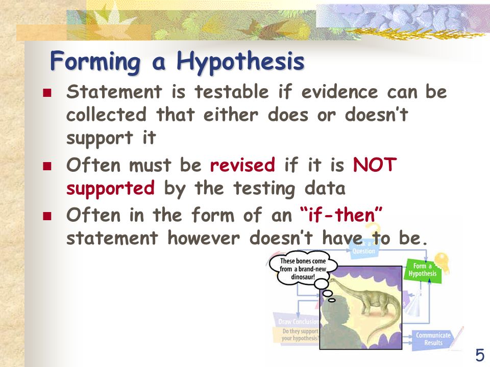 5 Forming a Hypothesis Statement is testable if evidence can be collected that either does or doesn’t support it Often must be revised if it is NOT supported by the testing data Often in the form of an if-then statement however doesn’t have to be.