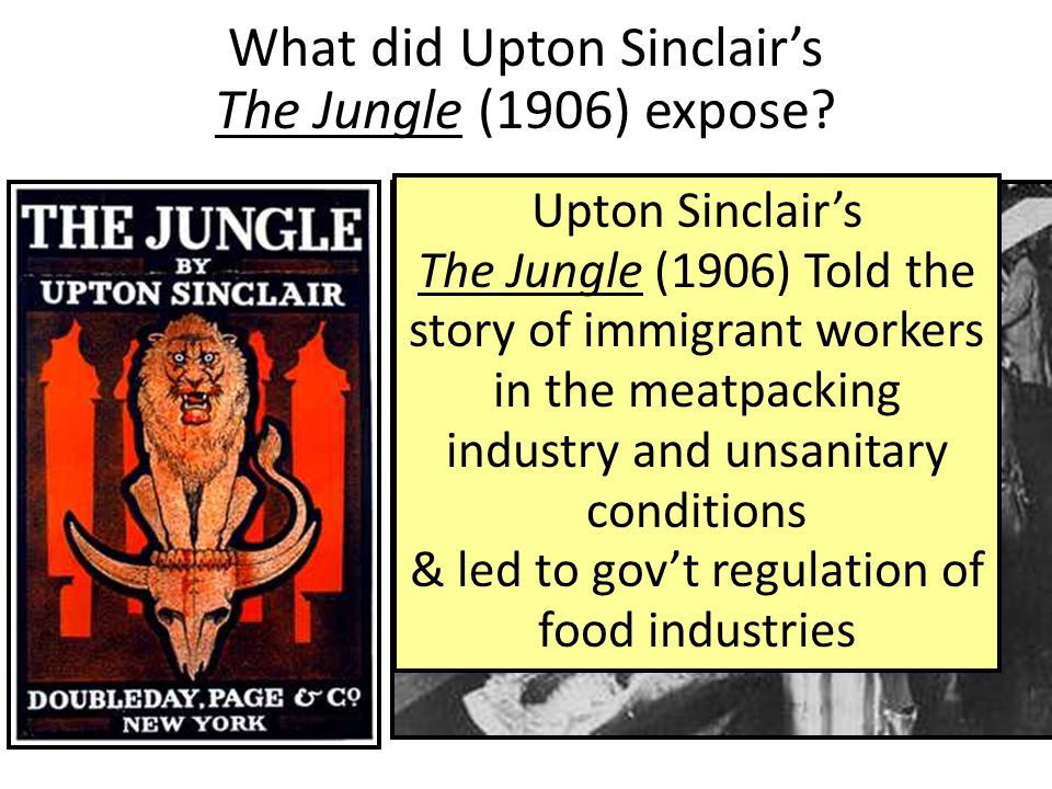 What did Upton Sinclair’s The Jungle (1906) expose.