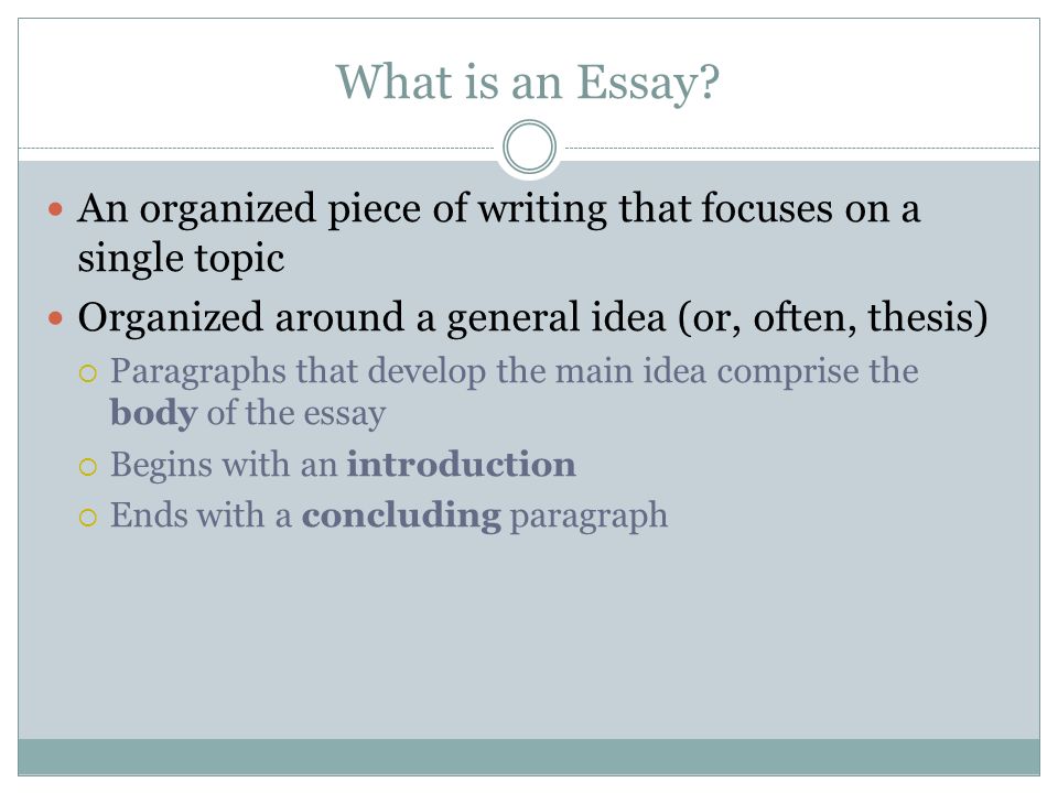 Written Essay Papers My Favourite Food Essay Paper English Essay Example also Persuasive Essay Topics High School Students My Favourite Food Essay Custom Papers Writing Aid At Its Best Political Science Essay