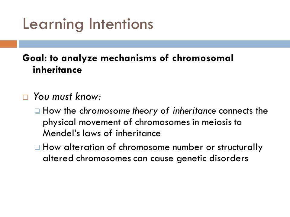 an introduction to the analysis of chromosomes Primer on molecular genetics date published: chromosomes an analysis called a karyotype a few types of major. an introduction to the analysis of chromosomes Primer on molecular genetics date published: chromosomes an analysis called a karyotype a few types of major.