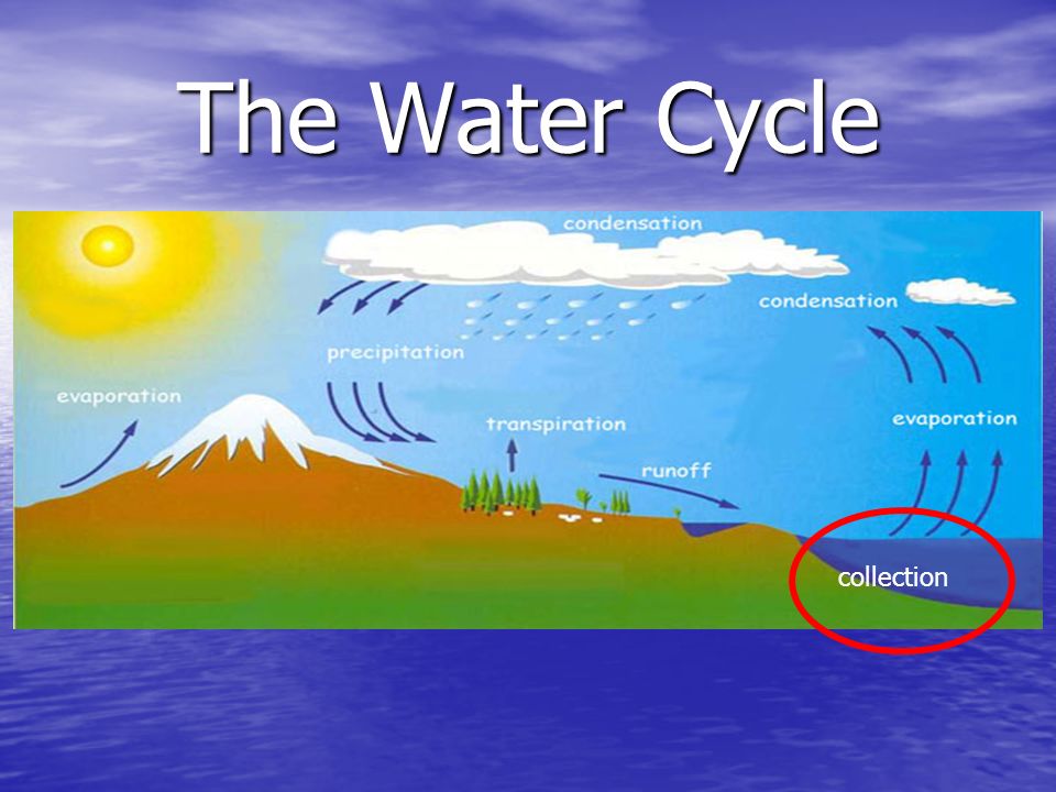 The Water Cycle collection