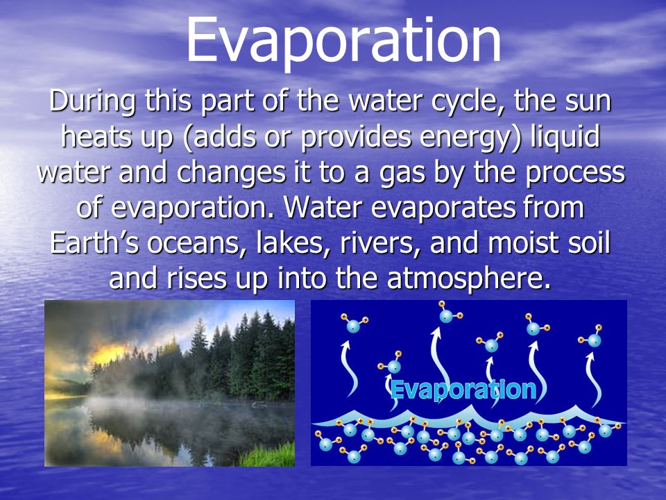 Evaporation During this part of the water cycle, the sun heats up (adds or provides energy) liquid water and changes it to a gas by the process of evaporation.