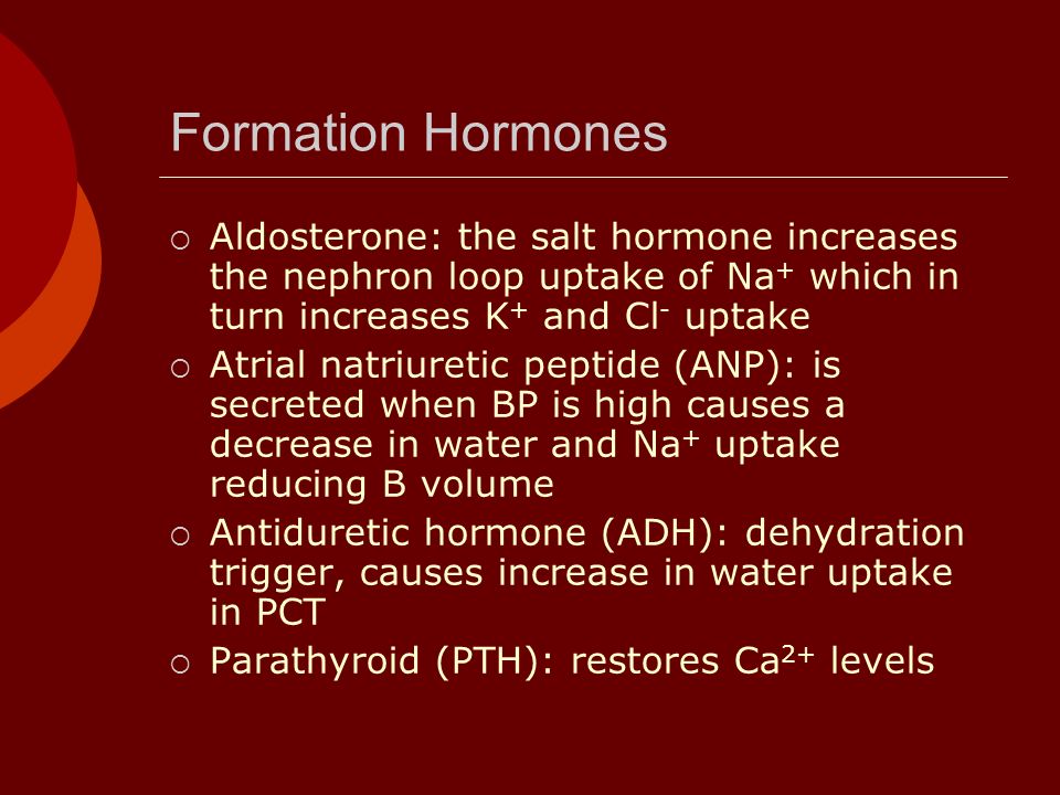 Formation Hormones  Aldosterone: the salt hormone increases the nephron loop uptake of Na + which in turn increases K + and Cl - uptake  Atrial natriuretic peptide (ANP): is secreted when BP is high causes a decrease in water and Na + uptake reducing B volume  Antiduretic hormone (ADH): dehydration trigger, causes increase in water uptake in PCT  Parathyroid (PTH): restores Ca 2+ levels