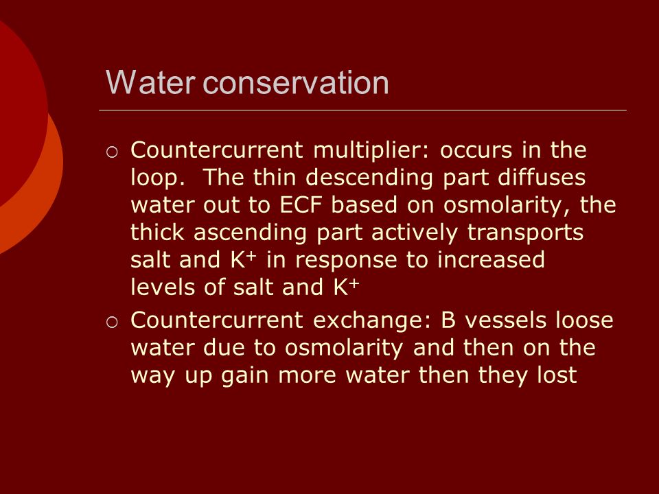 Water conservation  Countercurrent multiplier: occurs in the loop.