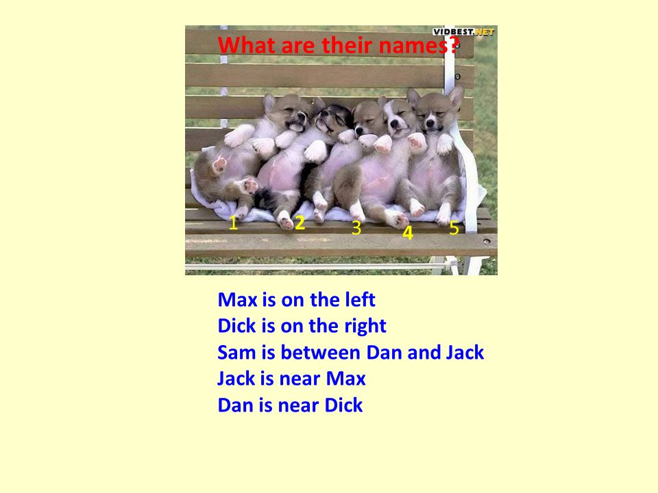 Max is on the left Dick is on the right Sam is between Dan and Jack Jack is near Max Dan is near Dick What are their names.