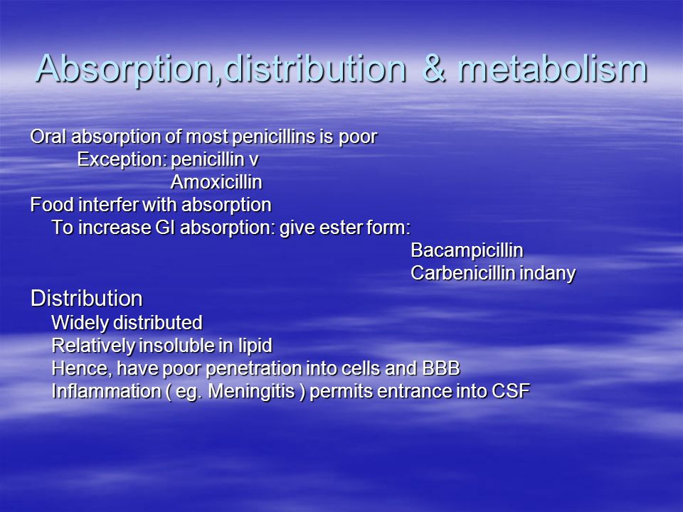 Amoxicillin and meningitis